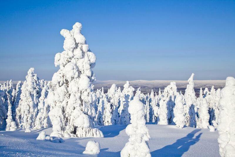 Rovavisit Apartments Siljo Rovaniemi Eksteriør bilde